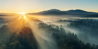 Aerial view of sunrise and misty treetops